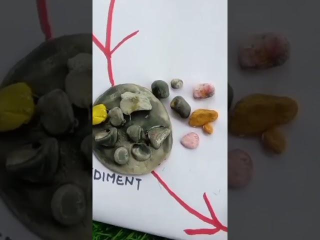 rock cycle model ch-inside our earth(geography) #class6#class7#trending#class9#class10#ytshorts