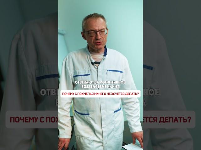 ️ Почему с похмелья ничего не хочется делать?