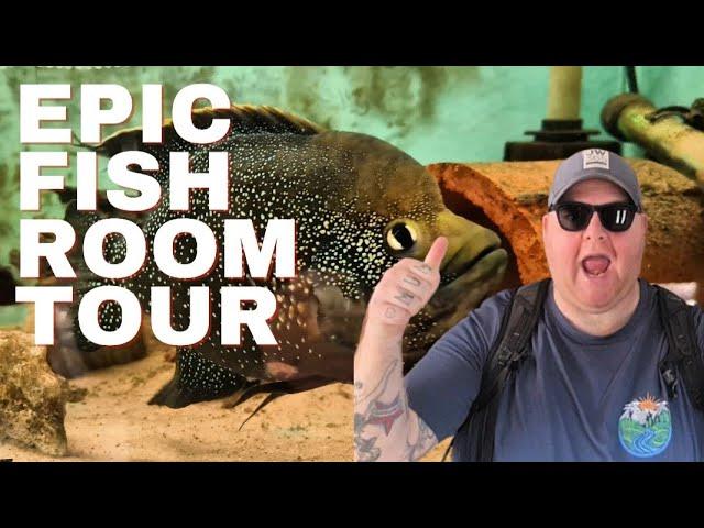 BILLS CICHLID ROOM TOUR