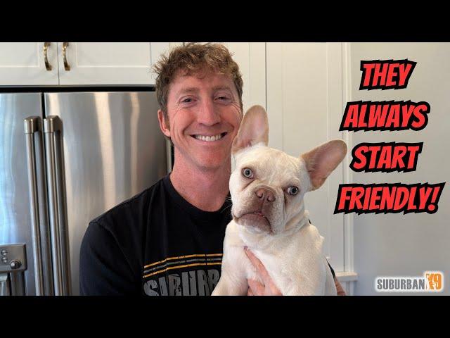 3 Ways to Prevent Your Puppy From Becoming Aggressive!