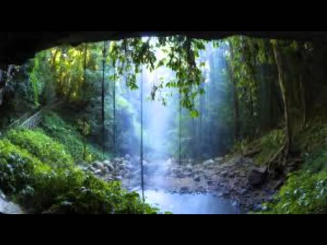 opus 324- the Lowly Servant's Composition...