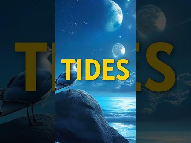 Why the Moon Controls Ocean Tides 
