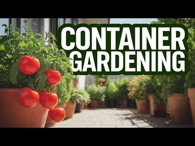 Container Gardening 101: How to Grow Food in Small Spaces
