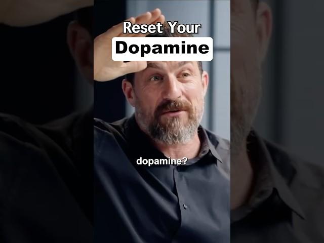 How to Do a Dopamine Detox in 24 Hours #shorts