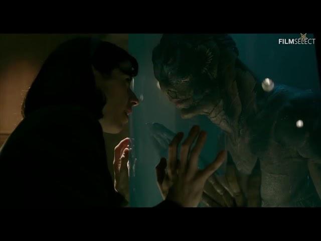 REEL MCCOY REVIEWS - "The Shape of Water"