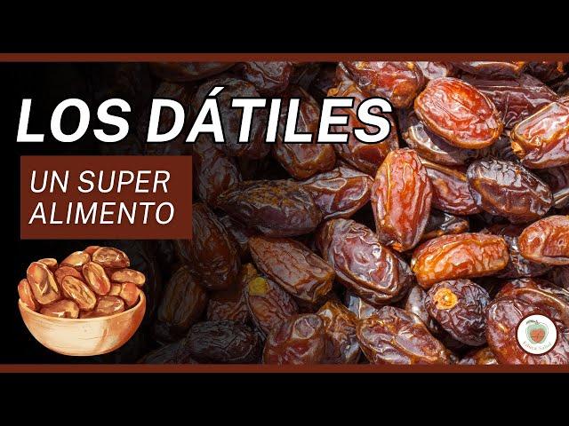 LOS DÁTILES: UN SUPERALIMENTO