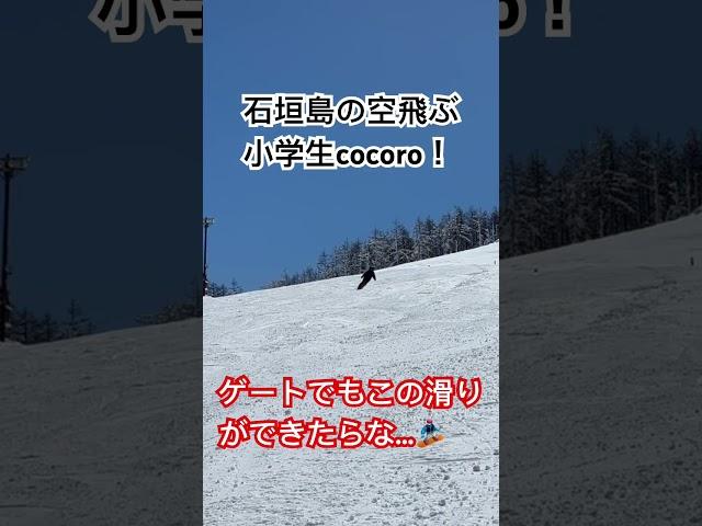 石垣島の空飛ぶ小学生cocoro！アルペンスノーボード2023-24#石垣島 #石垣島パラグライダー #アルペンスノーボード #アルペン