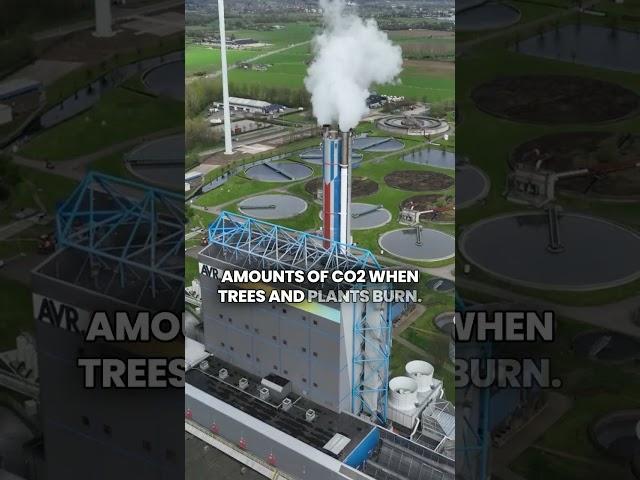 DID YOU KNOW? WILDFIRES RELEASE MORE CARBON THAN CARS | THE NARRATIVE NOOK