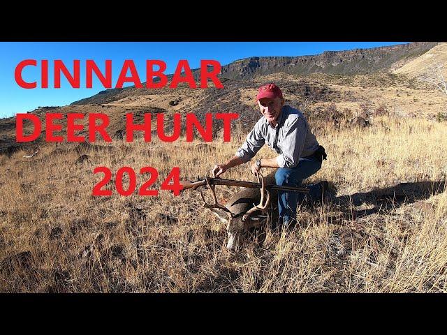 Deer Hunt 2024