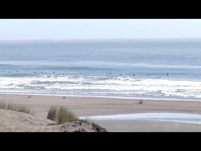 Sep 8, 2022 surf watch Ocean Beach San Francisco