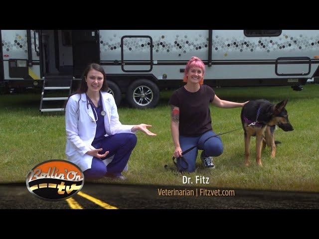 Paws on Board - Episode 5: Pet Carsickness