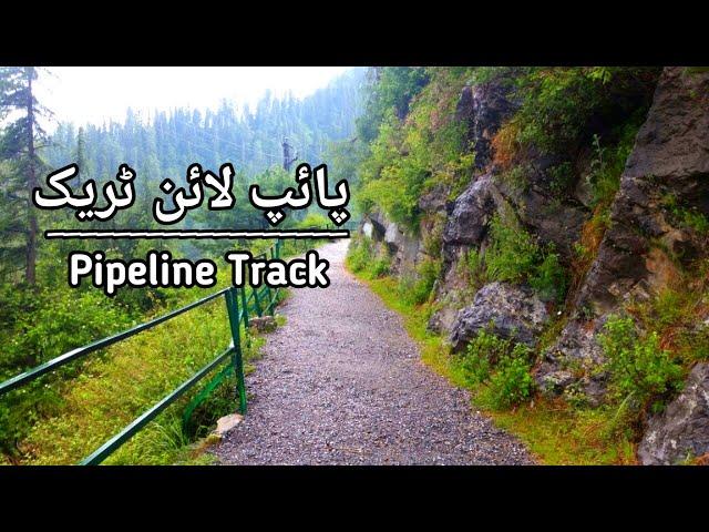 Pipeline Track Nathia Gali | Moto Tunnel Ayubia | Ayubia National Park | Travel