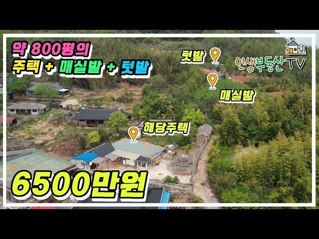 800평에 가까운 바닷가 마을 주택 + 매실밭 + 텃밭 이 모두가 6500만원