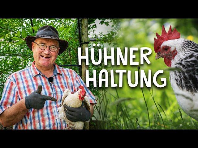 So kann jeder Hühner halten! - Nutztierhaltung im eigenen Garten für den Selbstversorger