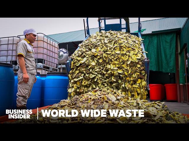 Can Pineapple Skins Replace Soap? | World Wide Waste | Business Insider