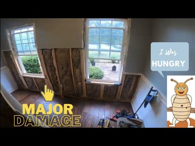 FIXING MAJOR TERMITE DAMAGE IN INTERIOR WALL