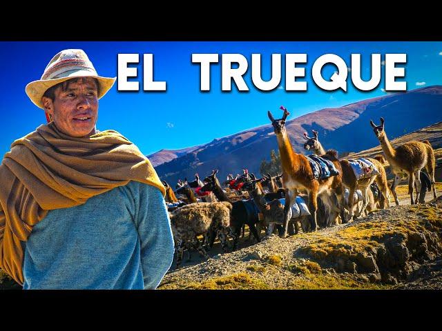 El hombre andino y sus llamas de carga, el trueque ancestral en Sapallanga |DOCUMENTAL