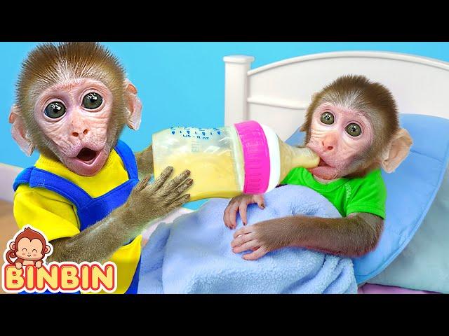 Monkey Binbin Challenges To Be a Good Brother And Check Up a Sick Little Monkey | MONO BINBIN ESP