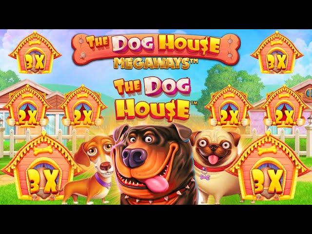 The Dog House and The Dog House Megaways Massive Wins!