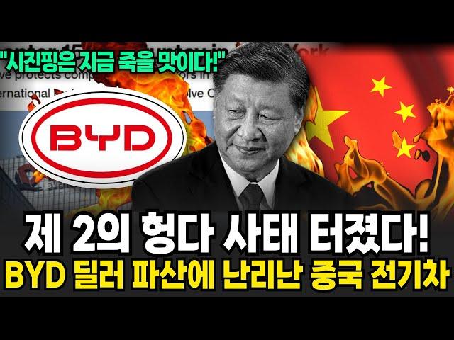 제 2의 헝다사태 터졌다! BYD 딜러들 줄파산 시작 "시진핑 미칠 지경이다" 피바다로 변한 중국 전기차 상황