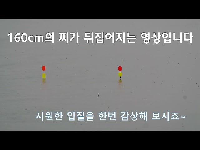 160cm의 찌가 넘어지다 - 환상적인 찌 올림~ ㅎ