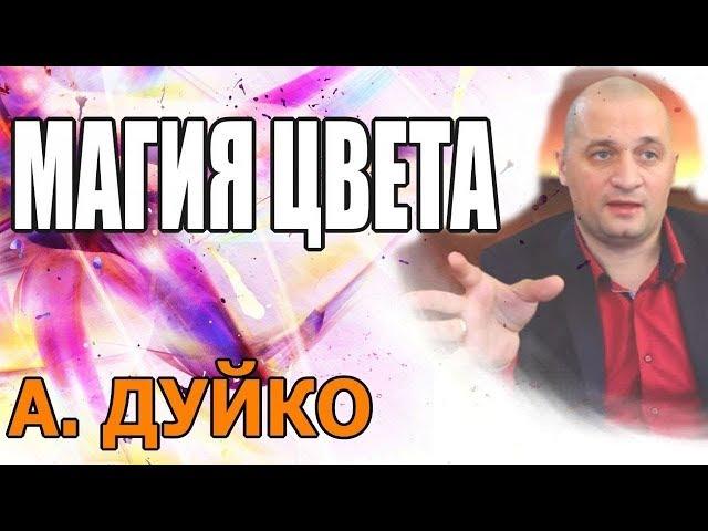 Андрей Андреевич Дуйко Официальный Сайт