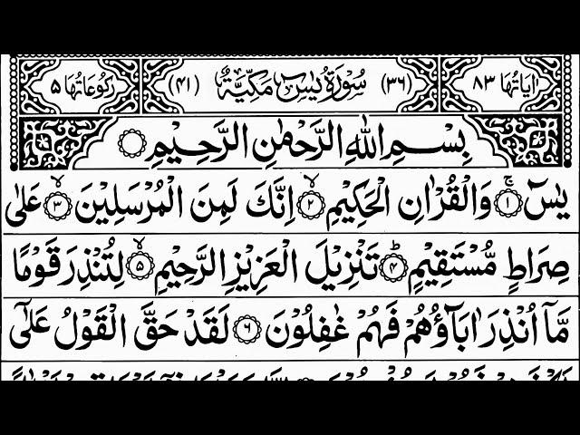 Live Surah Yaseen | Yasin | quran tilawat | Beautiful Recitation Surah Yasin Surah Rahman Full | 390