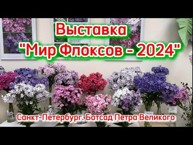 Выставка «Мир Флоксов-2024». Санкт-Петербург. Ботсад Петра Великого