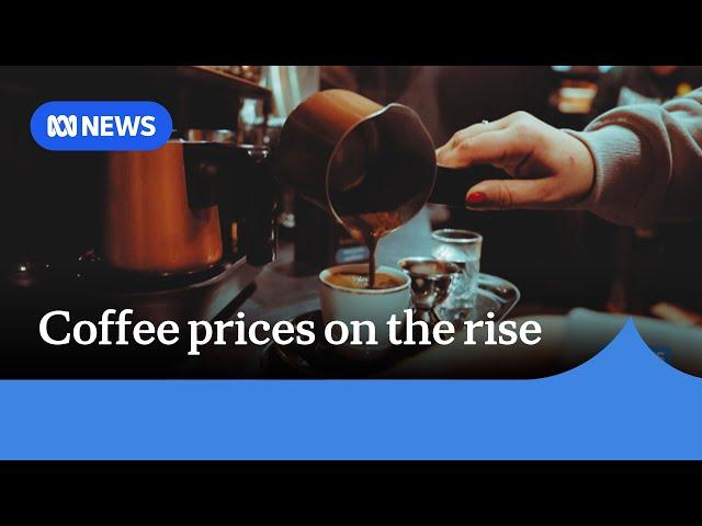 Australian coffee prices to hit new highs | ABC NEWS