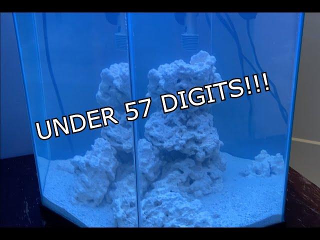 Setting up Saltwater Aquarium on a Budget (under $57!!!)