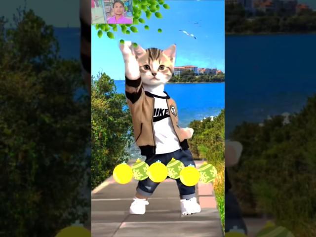 Sundar goriya sacho singar mangat hai #funny #funnycats #bhojpuri #catdance #shorts #dance#catlovers