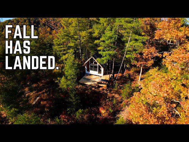 I need Cabin Therapy - Lap Siding the Offgrid Cabin Build