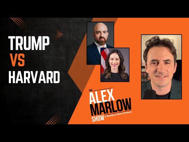 Trump Takes the Wood to Harvard with Mike Benz and May Mailman
