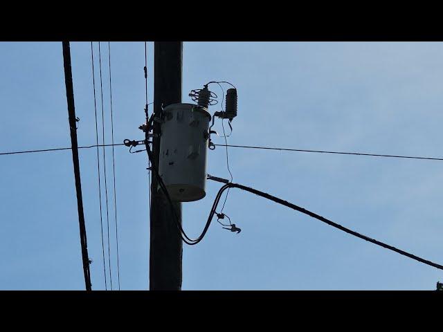 Live. 2 days after hurricane Helene drive through crystal river