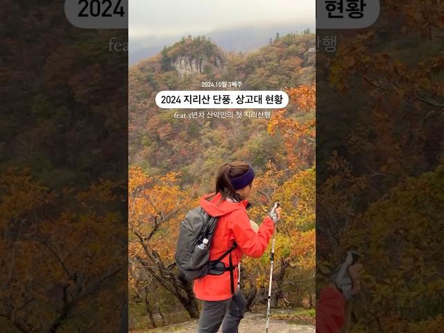 2024지리산단풍 #지리산 #천왕봉 #가을등산 #가을산행 #산타는여자 #지리산단풍 #등산초보 #등산추천