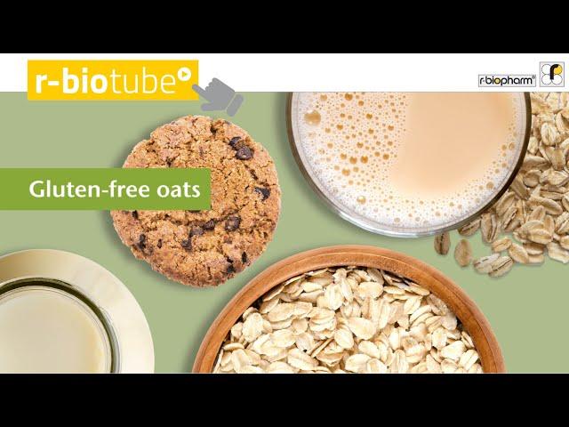 Gluten-free oats: how to ensure safe oat products