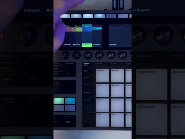 Scene (NI Maschine tutorial) #maschineplus #maschinemk3 #nimaschine #beatmaker #nativeinstruments