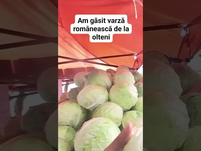 Am găsit varză româneasca