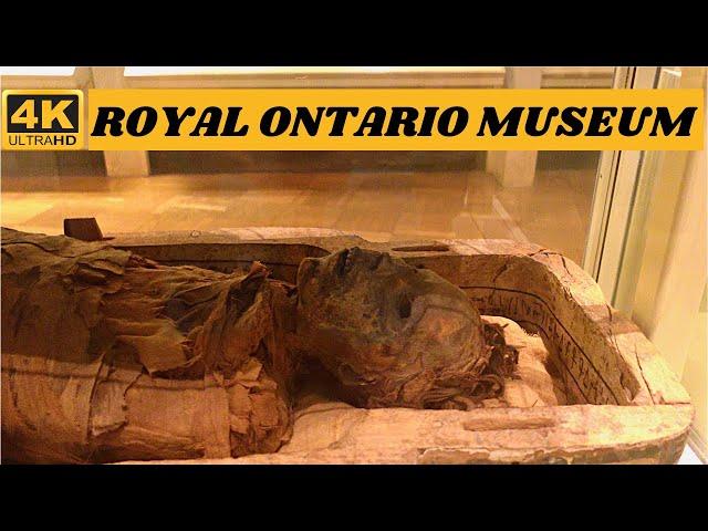 Amazing artifacts in Royal Ontario Museum.