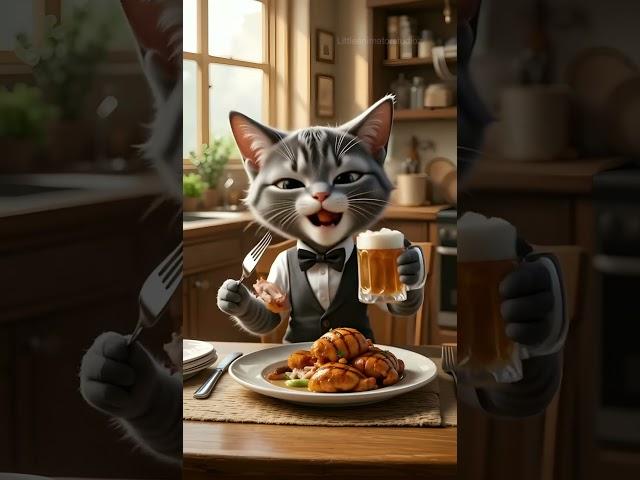 Funny Cat Videos: Delicious Meal for cute cat  #cats #kittens #pets #shorts #catvideos  #funny