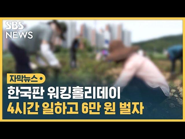 시급 15,000원에 교통비까지… 나도 지원해볼까? (자막뉴스) / SBS