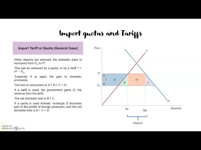 Chapter 2.4.  Import quotas and Tariffs