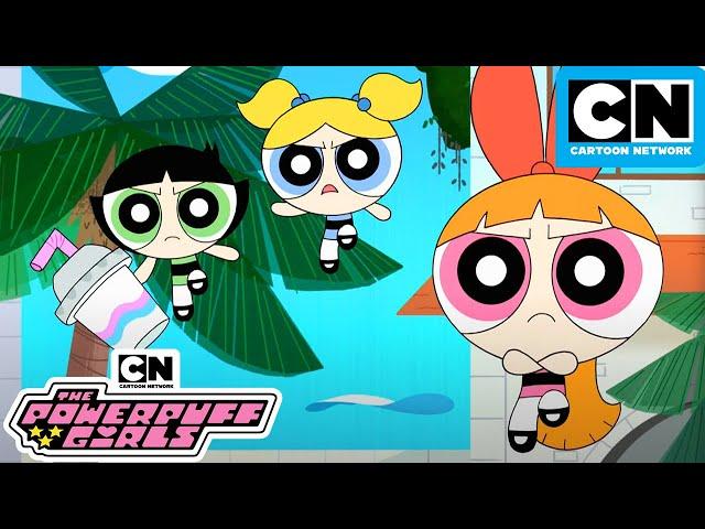 Powerpuff Girls on Vacation | New Powerpuff Girls Compilation | Cartoon Network