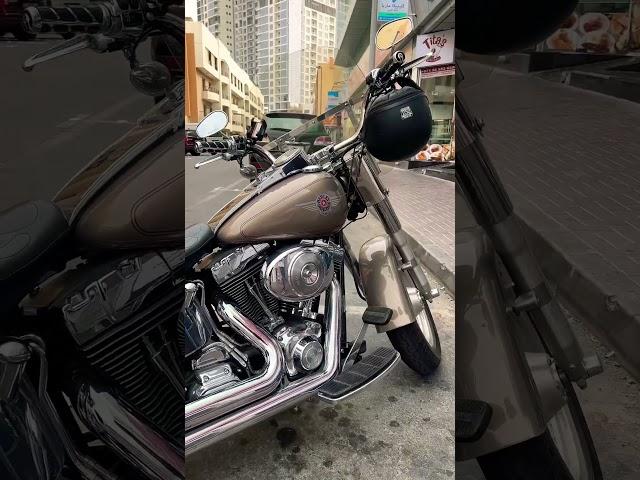 Harley Davidson️️#dubai #wow #bikelover #harleydavidson #gaming 🫣🫣