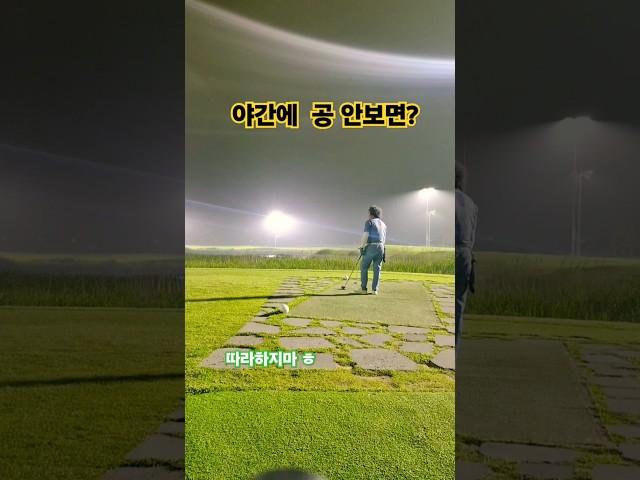 [장타정타골프] 골프공?ㅋ #제스타임 #golf #골프스윙 #유머영상 #골프스타 #청학동 #푸들