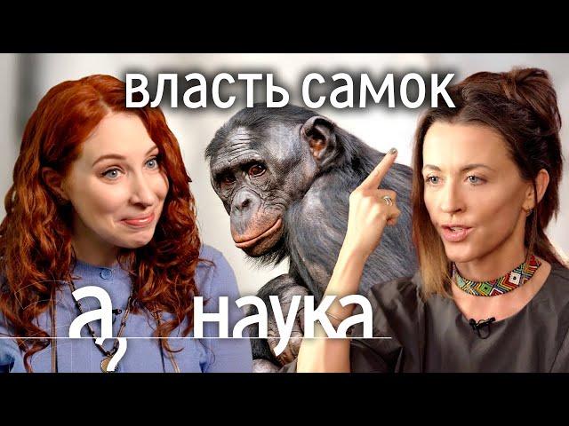 Самки рулят этим миром? Евгения Тимонова про женское доминирование в природе / Наука. А поговорить?