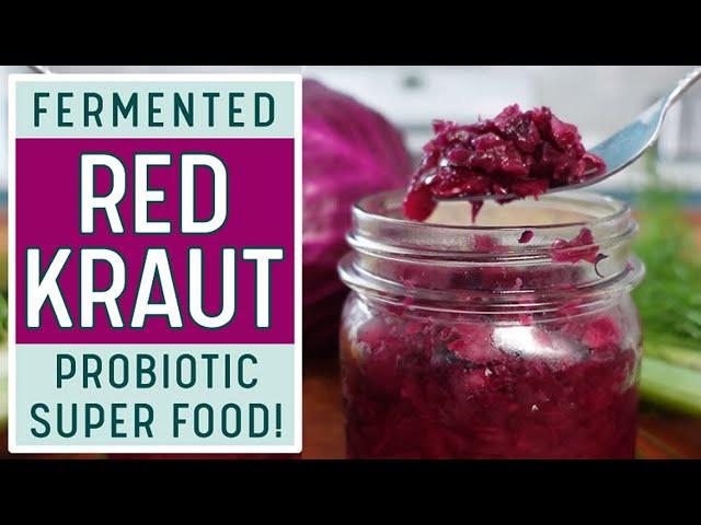 FERMENTED RED CABBAGE SAUERKRAUT - The Best Beginner Friendly Sauerkraut Video Out There!