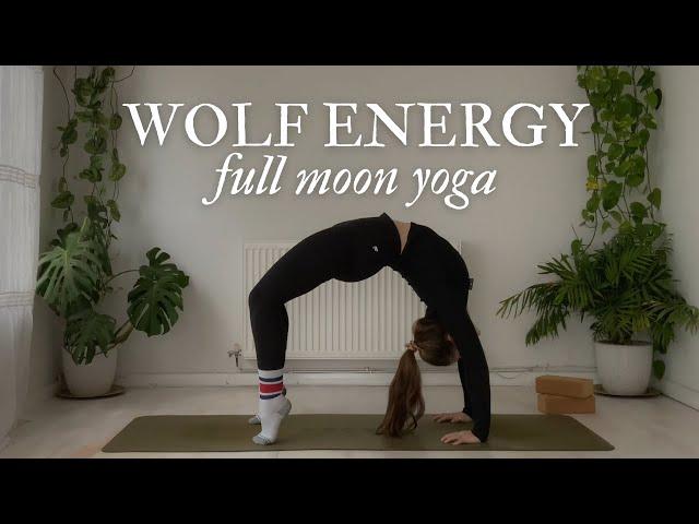 Wild Wolf Energy   Full Moon Flow (January, 2025)