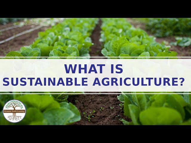 Sustainable Farming Explainer Video Sustainable Agriculture