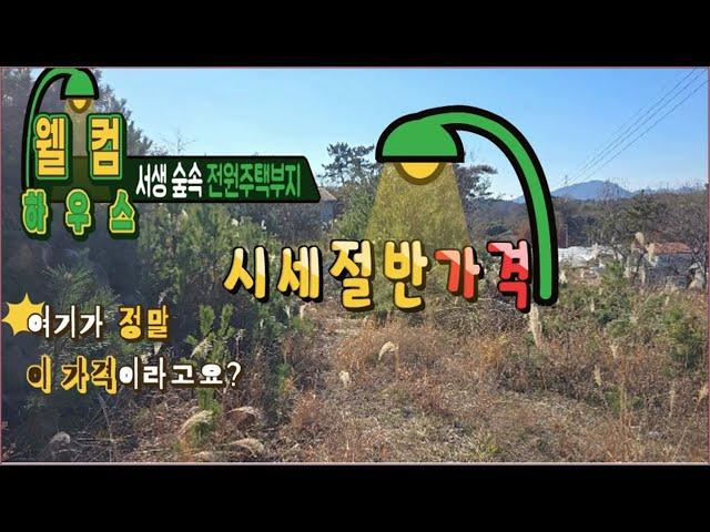 24- 24//급매// 시세의 절반 가까운 가격에 나온 전원주택부지겸 주말농장.